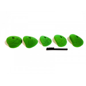Medium Fracture Jugs