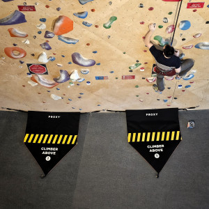 Proxy Auto Belay Gate