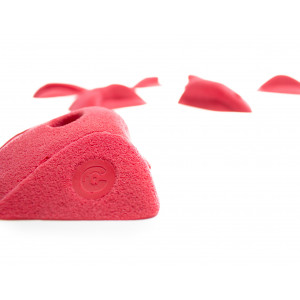 Small French Edges