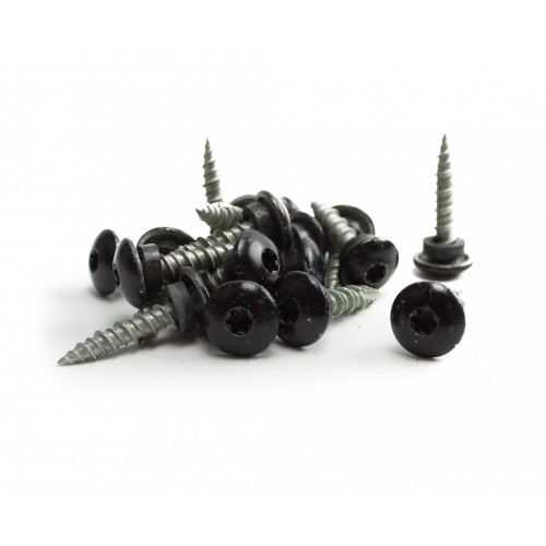 1in Macro Screws