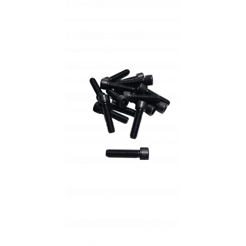 1in Bolt
