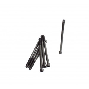 5.5in Bolt