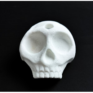 Skeletor Trophy