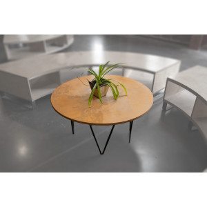 Circle Coffe Table One